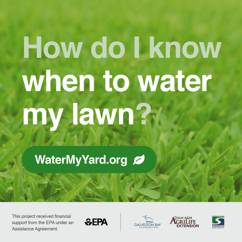 WhentoWater.WaterMyYard.png