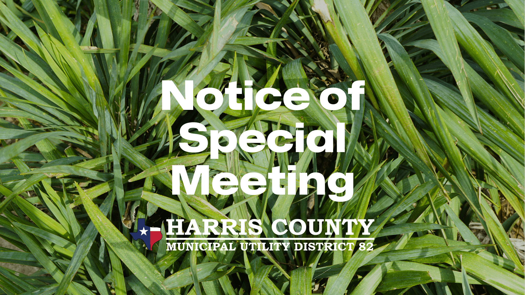 HCMUD82Photos - special meeting