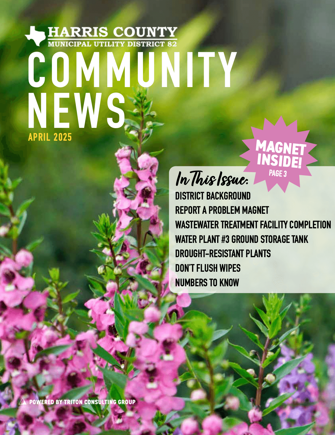 NewsletterCoverSpring2025